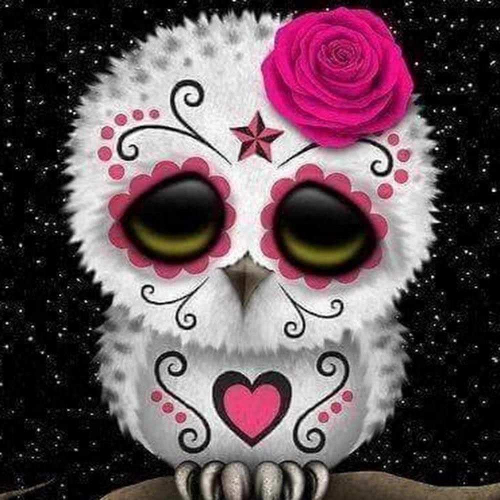 Meet your Posher, Miss